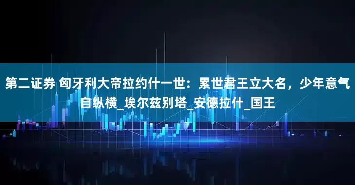 第二证券 匈牙利大帝拉约什一世：累世君王立大名，少年意气自纵横_埃尔兹别塔_安德拉什_国王