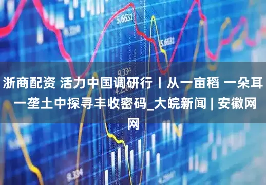 浙商配资 活力中国调研行丨从一亩稻 一朵耳 一垄土中探寻丰收密码_大皖新闻 | 安徽网