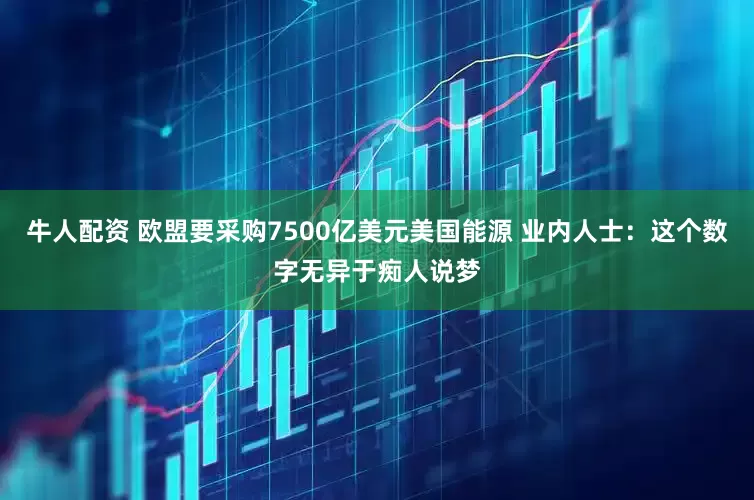 牛人配资 欧盟要采购7500亿美元美国能源 业内人士：这个数字无异于痴人说梦