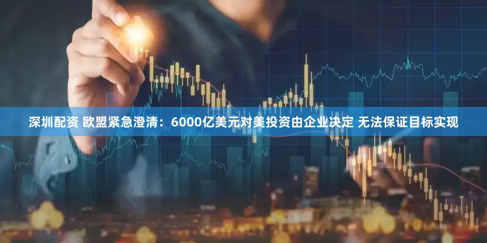 深圳配资 欧盟紧急澄清：6000亿美元对美投资由企业决定 无法保证目标实现