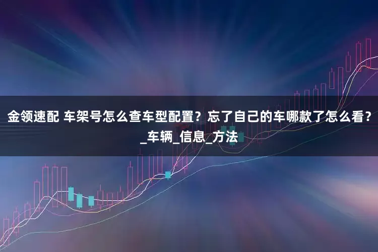 金领速配 车架号怎么查车型配置？忘了自己的车哪款了怎么看？_车辆_信息_方法