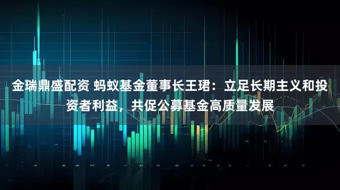 金瑞鼎盛配资 蚂蚁基金董事长王珺:立足长期主义和投资者利益,共促公募基金高质量发展