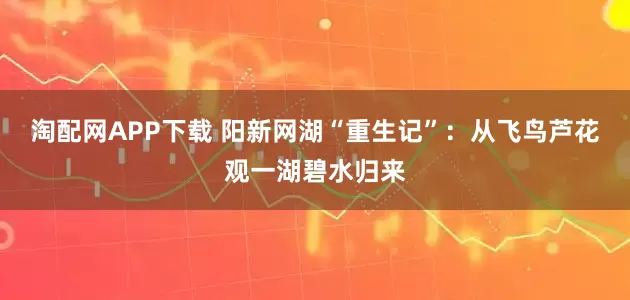 淘配网APP下载 阳新网湖“重生记”:从飞鸟芦花观一湖碧水归来